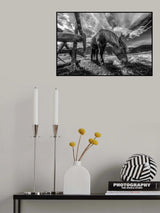 THE HORSE Poster och Canvastavla