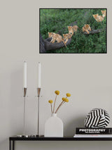 The first great adventure Poster och Canvastavla