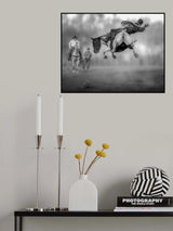 A Leap in the Air Poster och Canvastavla