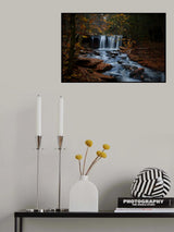 Poster och Canvastavla