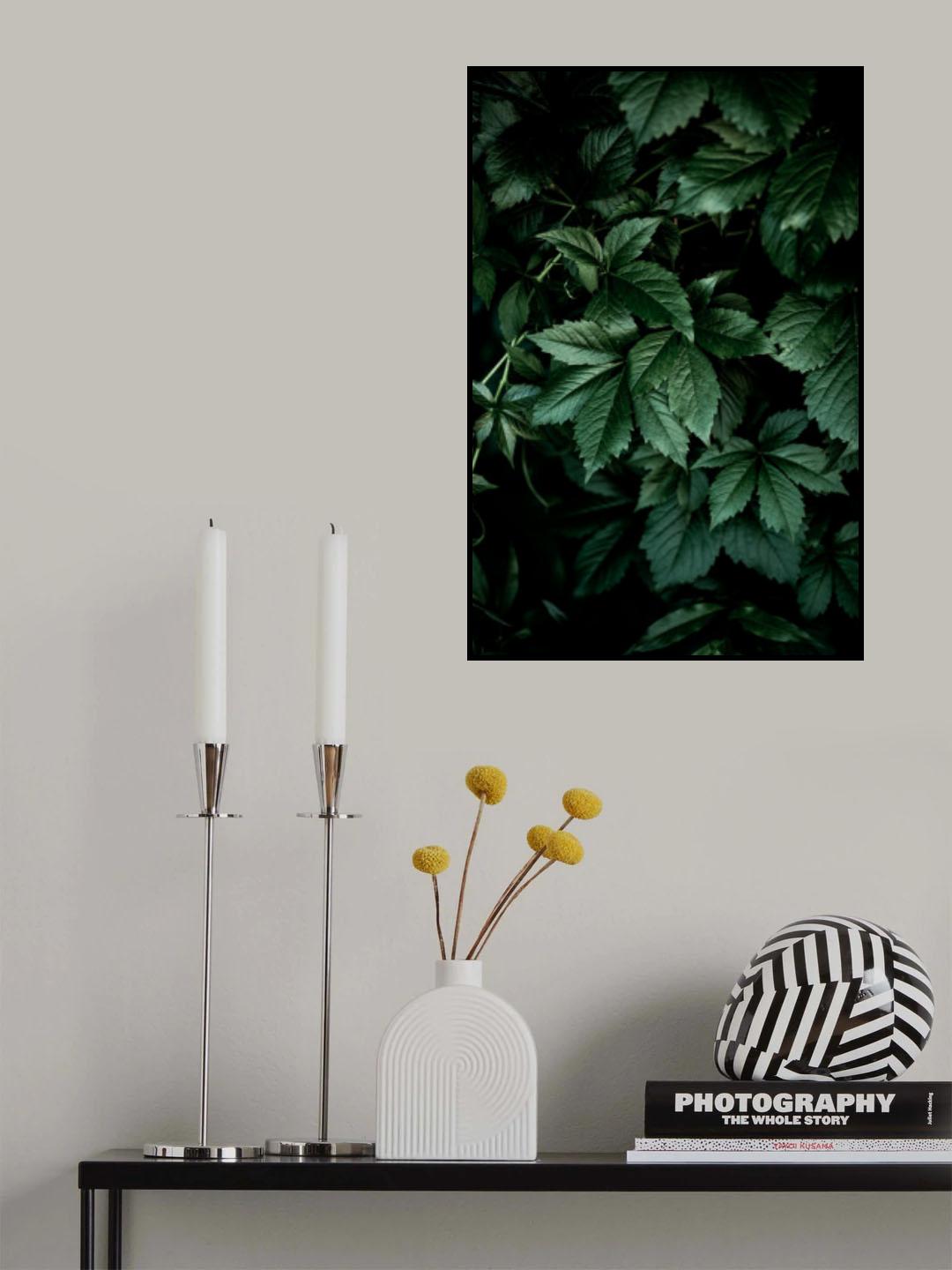 Dark Leaves 13 Poster och Canvastavla