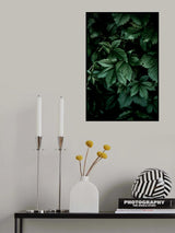Dark Leaves 13 Poster och Canvastavla