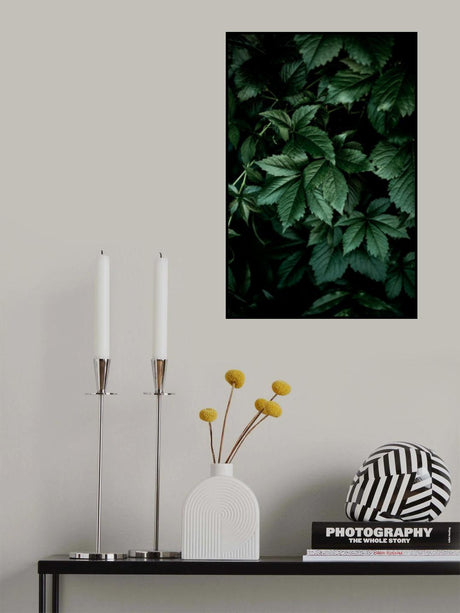 Dark Leaves 13 Poster och Canvastavla