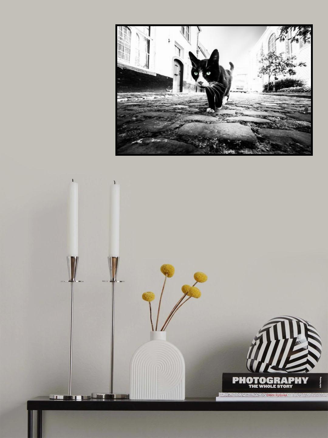 Focus Poster och Canvastavla