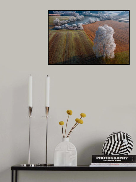 Winter idyll Poster och Canvastavla