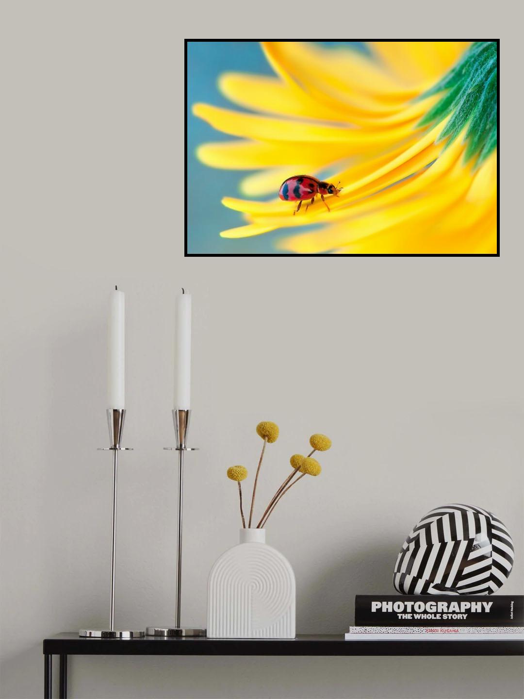 red lady Poster och Canvastavla