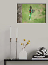 Beautiful daddy Poster och Canvastavla
