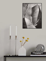 Poster och Canvastavla