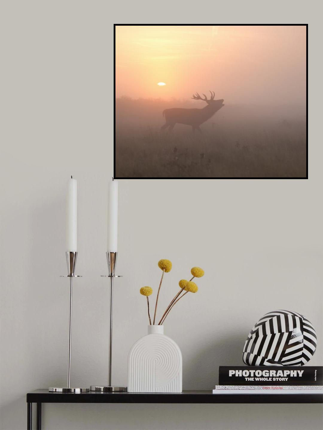 Misty Morning Stag Poster och Canvastavla