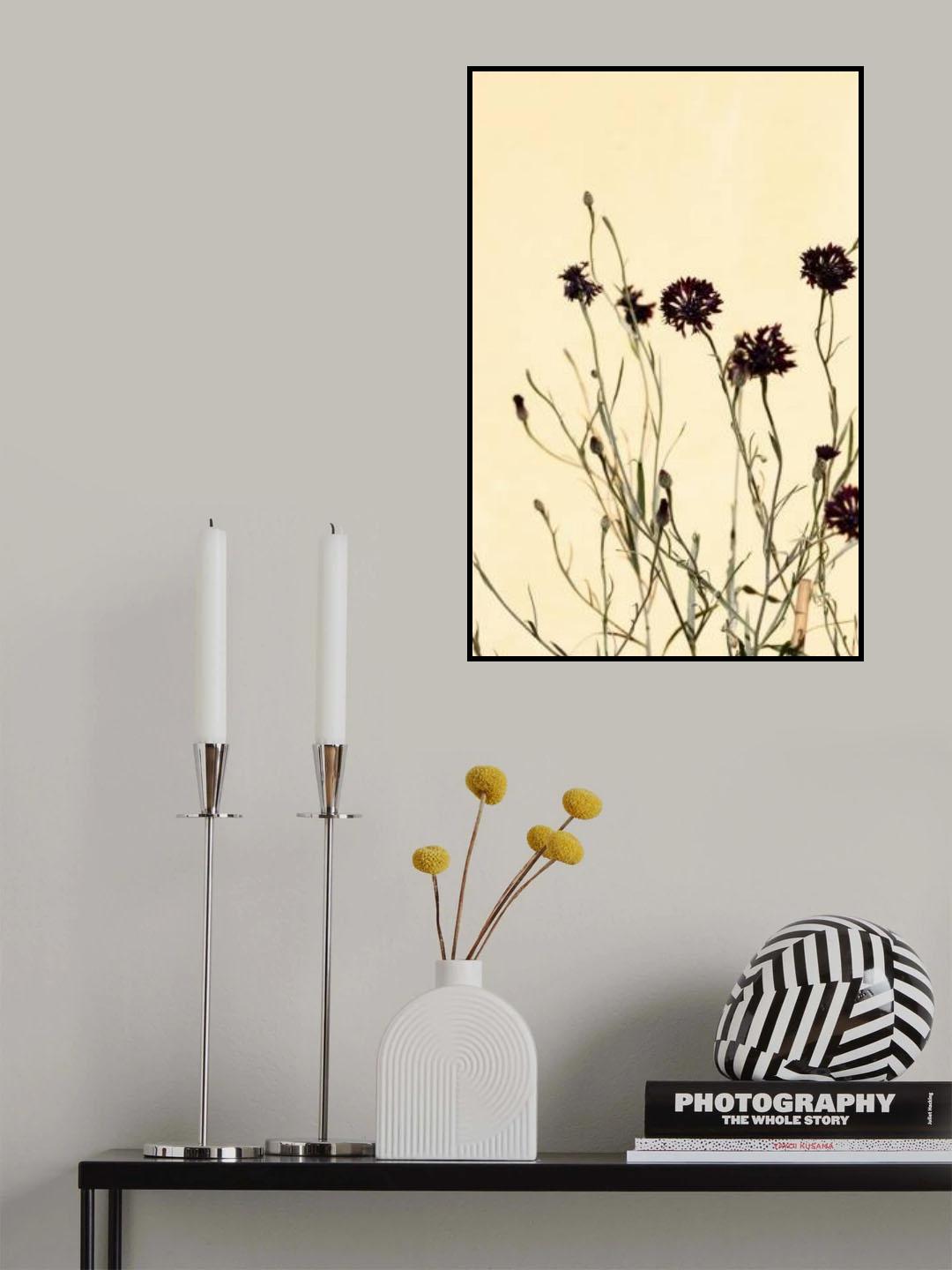 Withered flowers Poster och Canvastavla