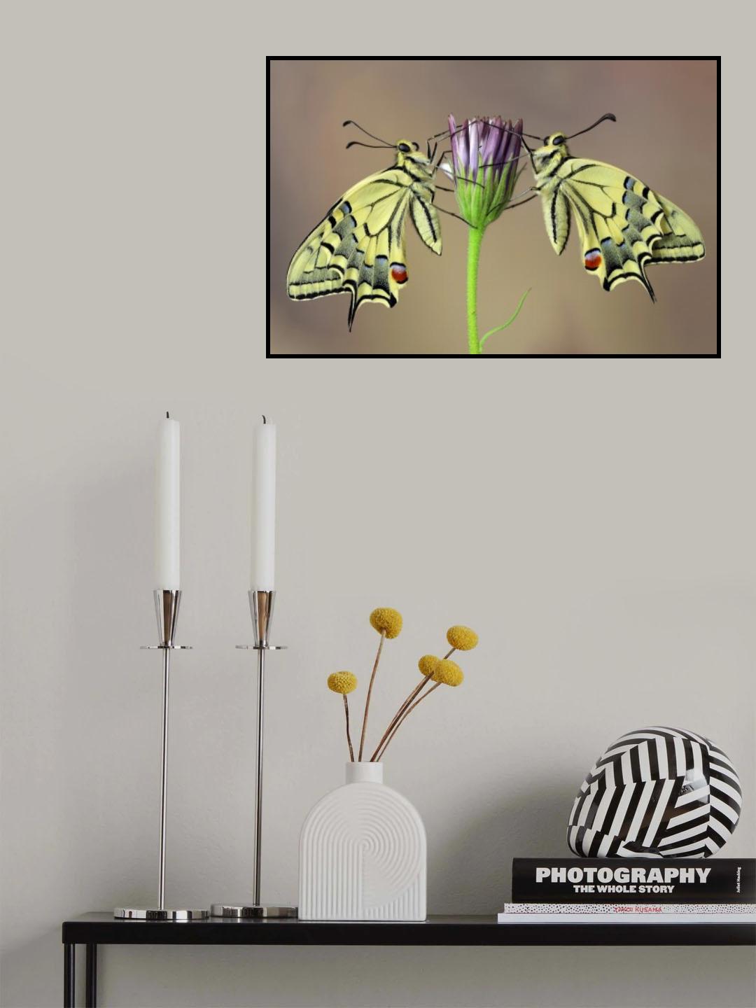 Symmetry Poster och Canvastavla