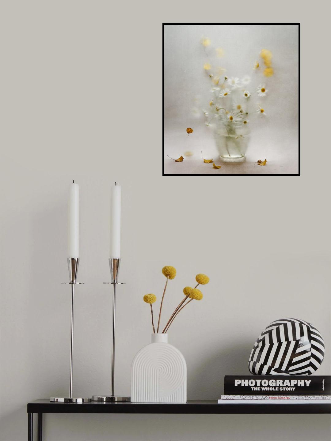 october daisies Poster och Canvastavla