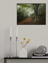 Into the forest Poster och Canvastavla
