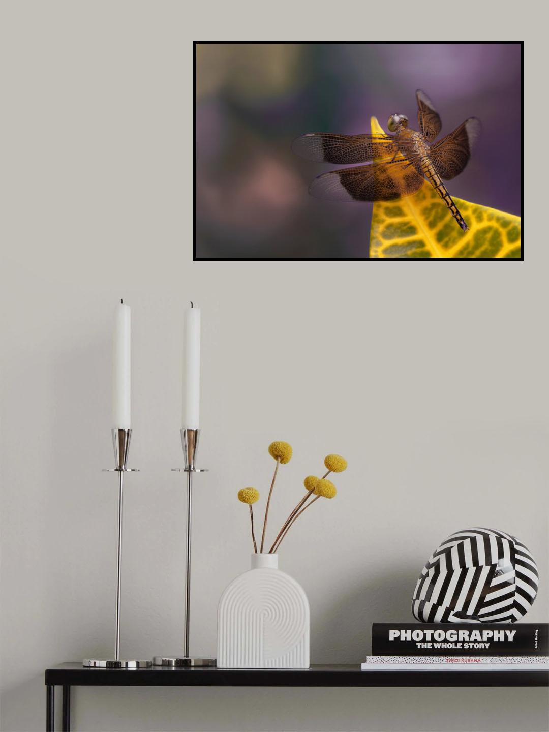 Capung Poster och Canvastavla