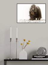 Between the fog and frost Poster och Canvastavla