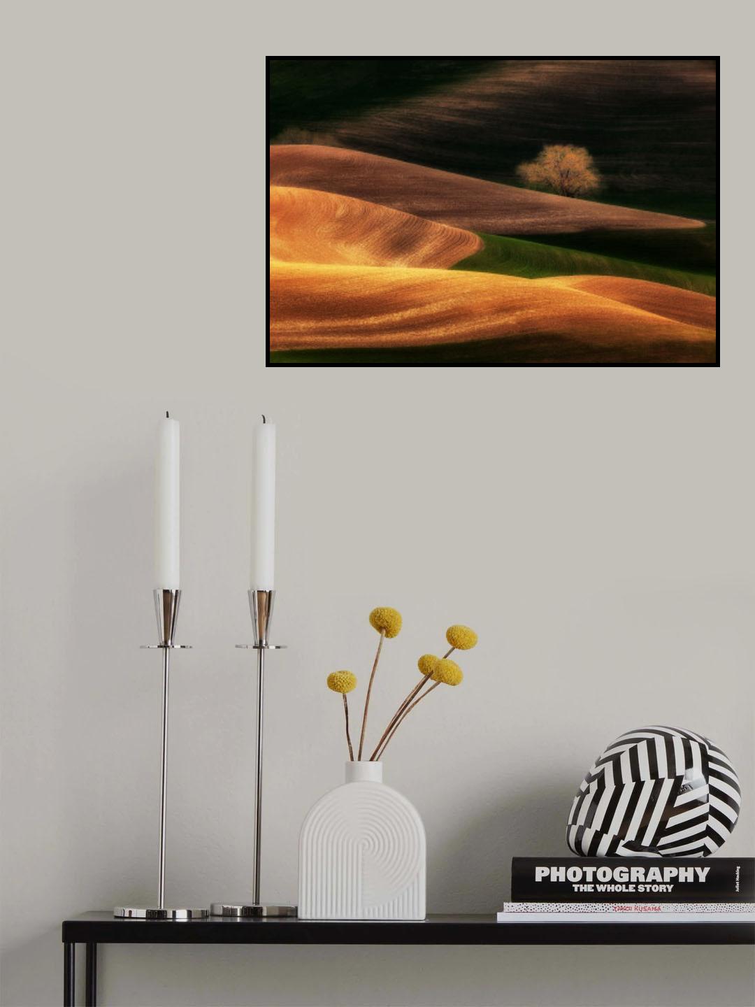 Sunset Tree on Field 2 Poster och Canvastavla