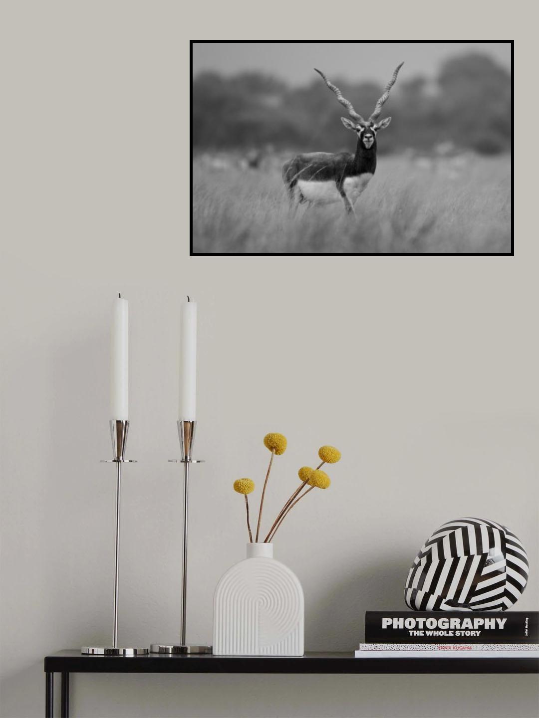Poster och Canvastavla