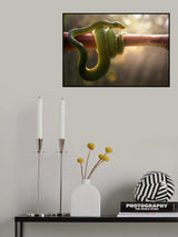 Tree Snake Poster och Canvastavla
