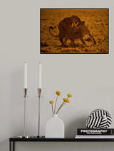Bite Poster och Canvastavla