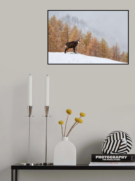 Autumn colors Poster och Canvastavla