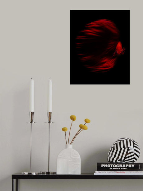 The Red Betta Poster och Canvastavla