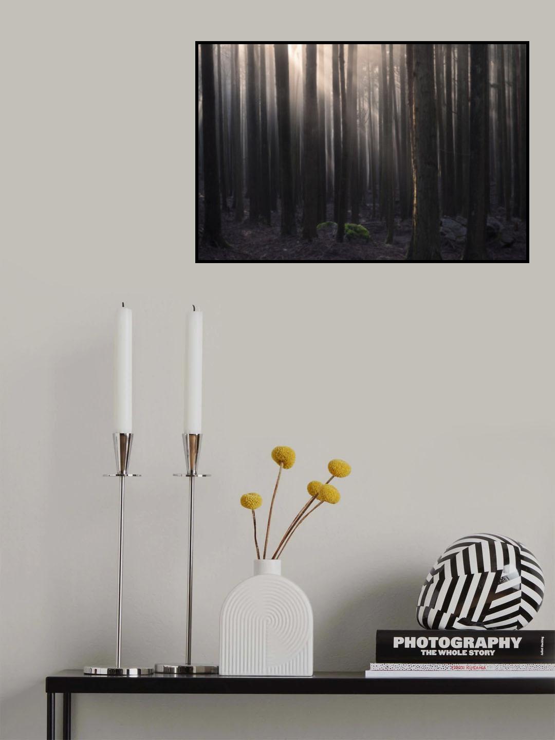 Enveloping the forest Poster och Canvastavla