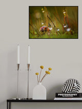 ladyB Poster och Canvastavla