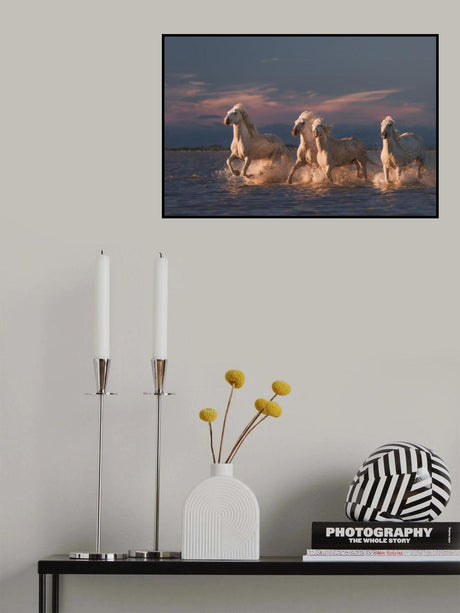 Angels of Camargue Poster och Canvastavla