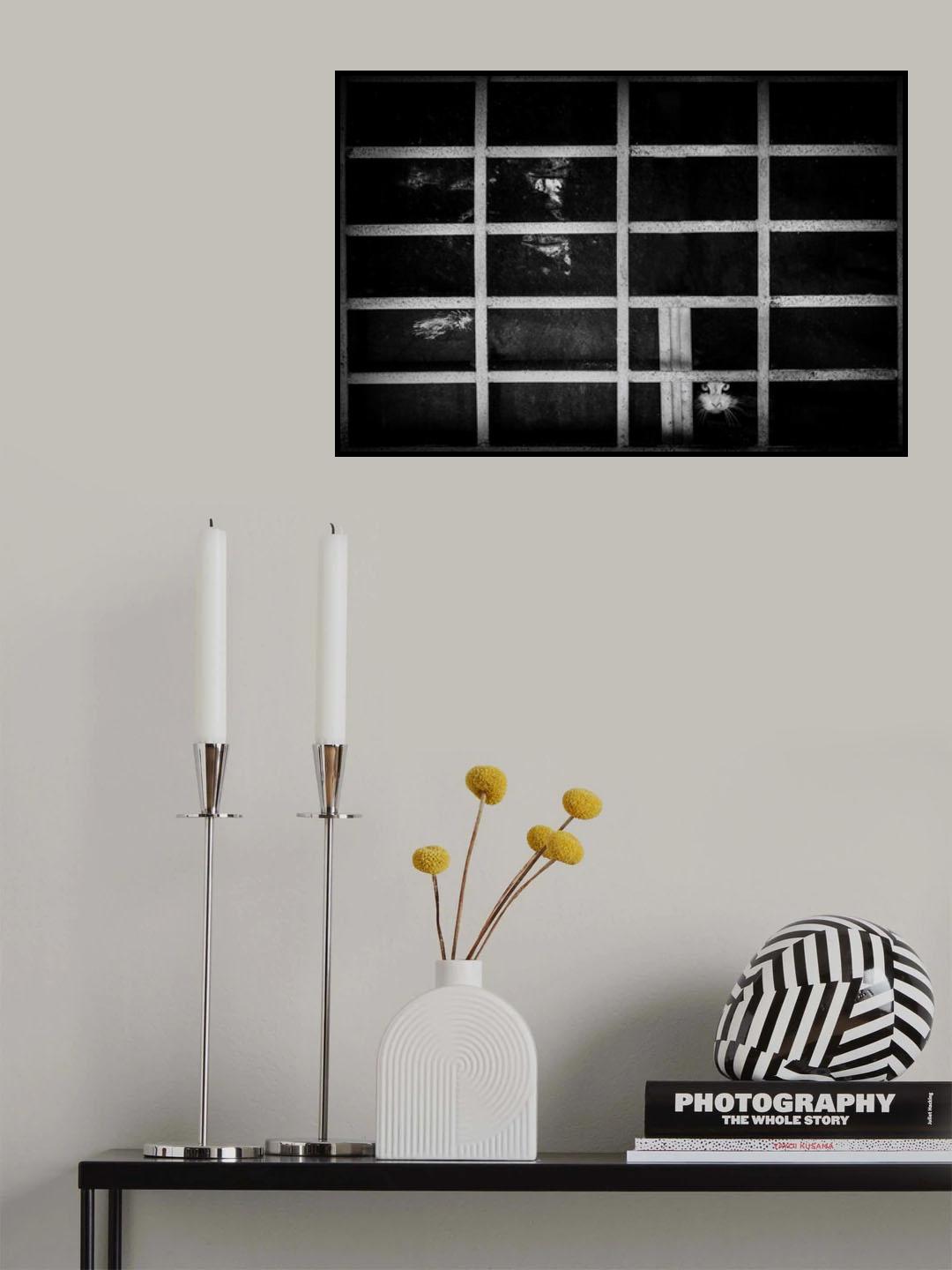 Mysterious Look Poster och Canvastavla