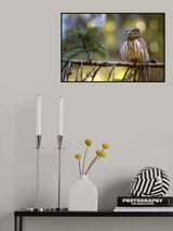 Strut Poster och Canvastavla