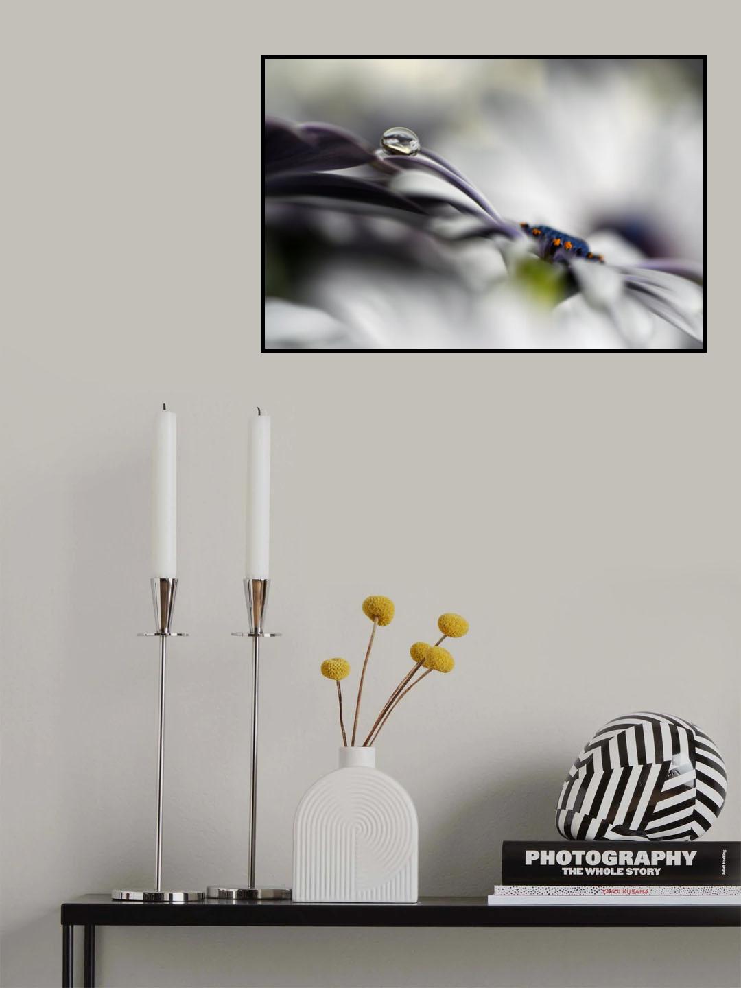 Lazy drop Poster och Canvastavla