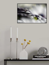 Lazy drop Poster och Canvastavla