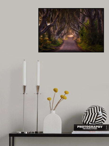 The Glowing Hedges Poster och Canvastavla