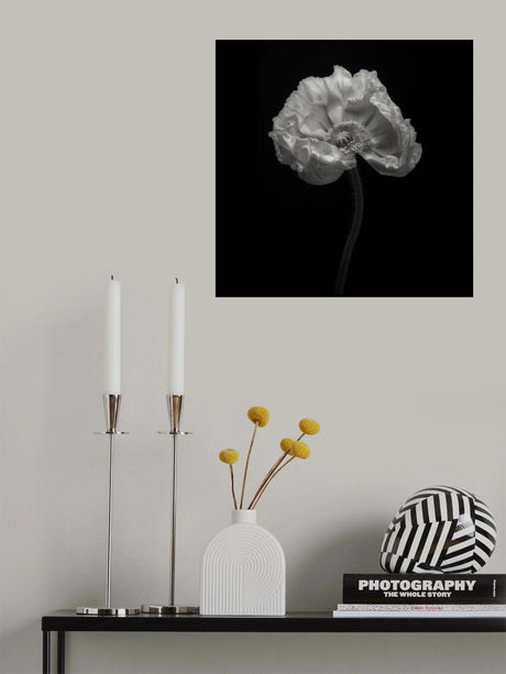 Poppy Poster och Canvastavla