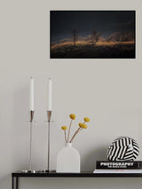 Sunset view Poster och Canvastavla