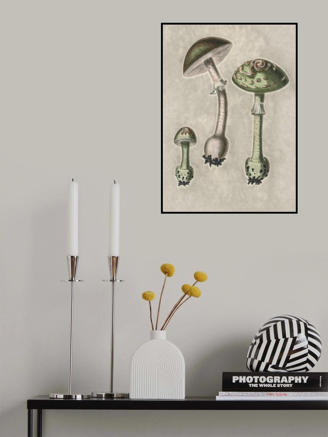 Amanita Muscaria Remix Green Poster och Canvastavla