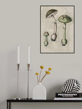 Amanita Muscaria Remix Green Poster och Canvastavla