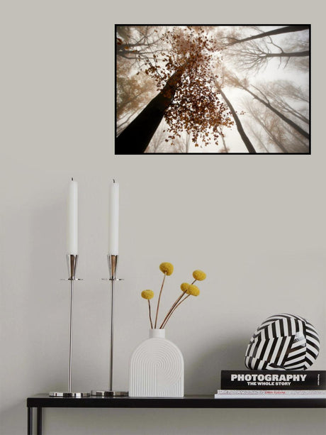Fall Poster och Canvastavla