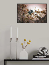 Feast Poster och Canvastavla