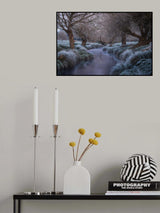 Early frost Poster och Canvastavla