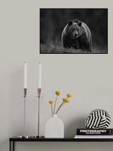 Poster och Canvastavla