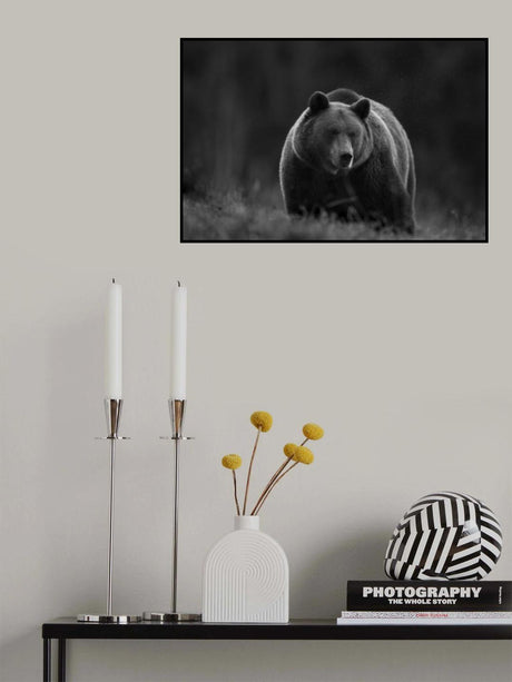 Poster och Canvastavla