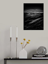Feathers Poster och Canvastavla