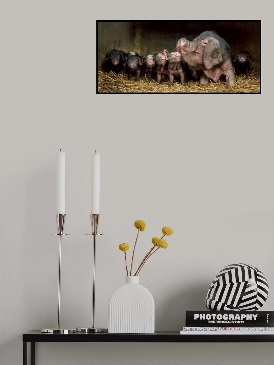 The wrinkled ones Poster och Canvastavla