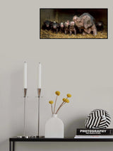 The wrinkled ones Poster och Canvastavla