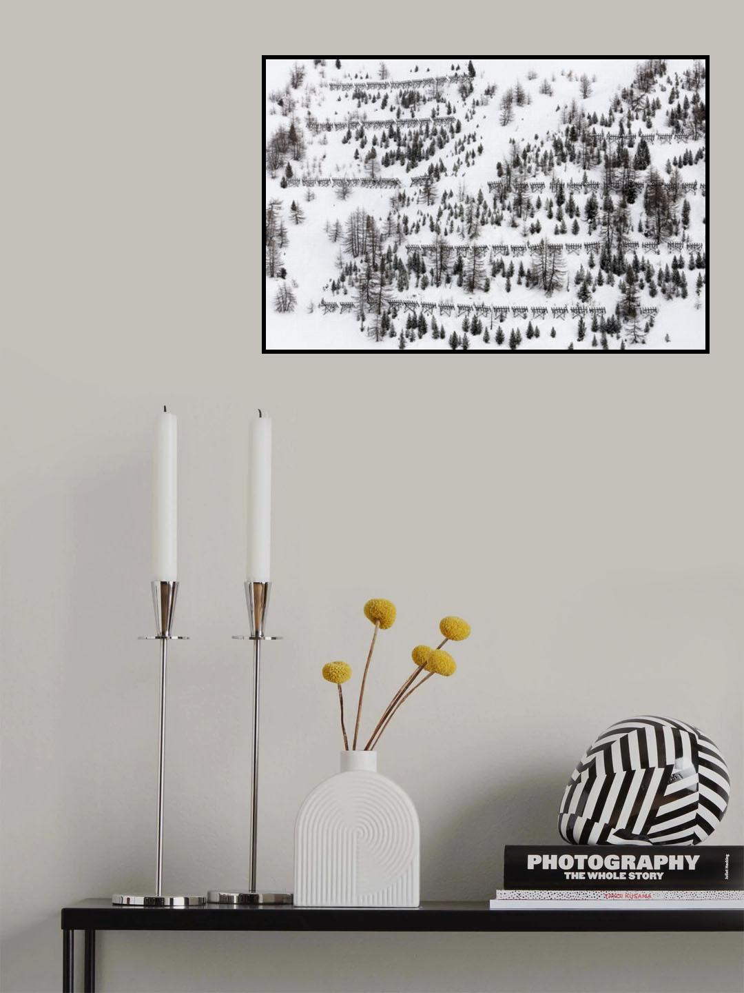winter trees Poster och Canvastavla