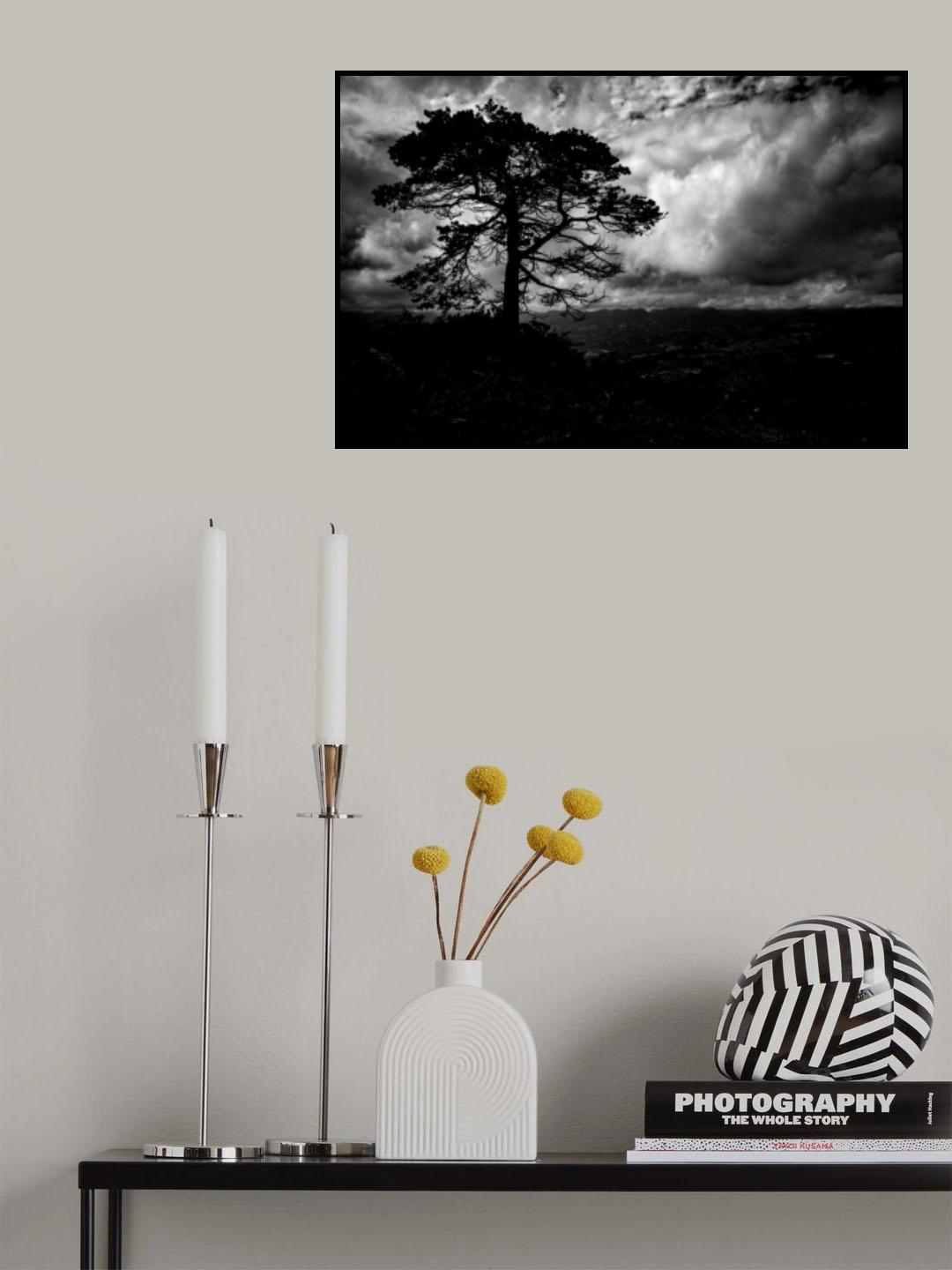 Tree Poster och Canvastavla