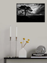 Tree Poster och Canvastavla