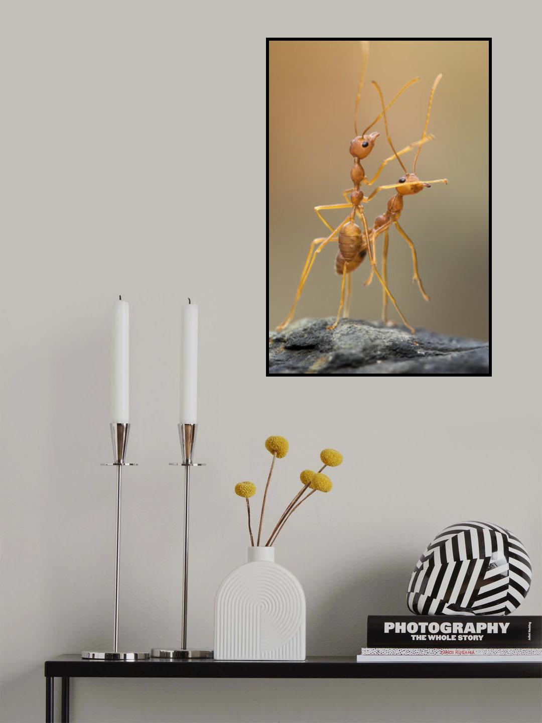 Dance Ants Poster och Canvastavla