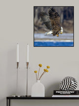 Transfer in the air Poster och Canvastavla